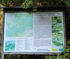 20161023_mecsek_007