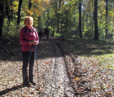 20161023_mecsek_032