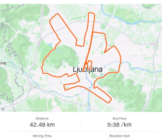 20221023_ljubljanski_maraton_096