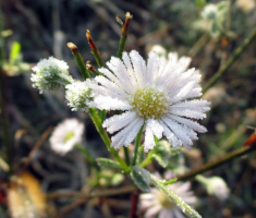 20141123_krndija_003