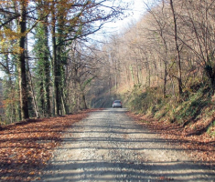 20141123_krndija_005