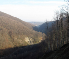 20141123_krndija_009