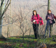 20141123_krndija_010