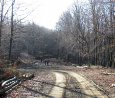 20141123_krndija_015