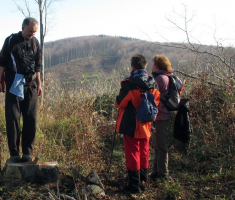 20141123_krndija_023