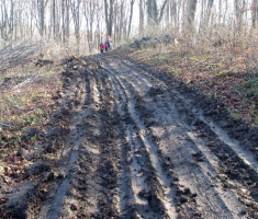 20141123_krndija_027