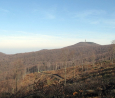 20141123_krndija_028
