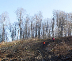 20141123_krndija_030