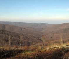 20141123_krndija_032