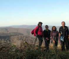 20141123_krndija_035