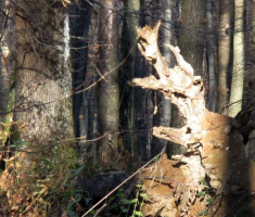 20141123_krndija_039