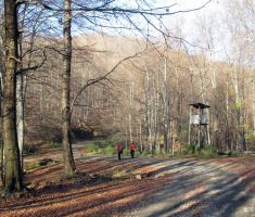 20141123_krndija_040