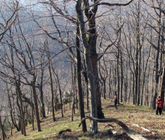 20141123_krndija_045