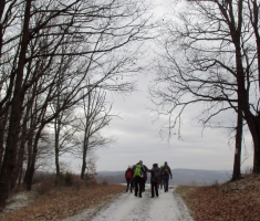 20160124_crna_klada_008