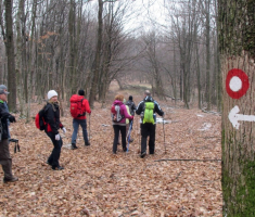 20160124_crna_klada_023