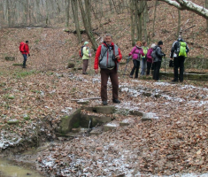 20160124_crna_klada_040