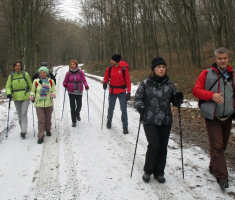 20160124_crna_klada_041