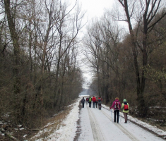 20160124_crna_klada_047