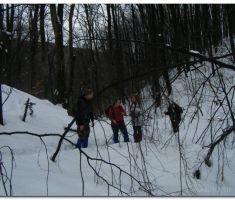 papuk20130224_00001
