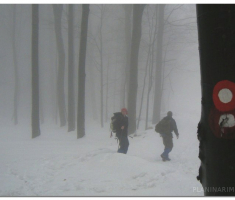 papuk20130224_00004