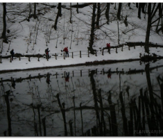 papuk20130224_00013