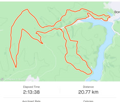 20240324_borovik_trail_135