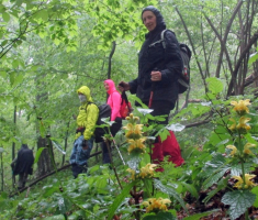 20160424_papuk_009