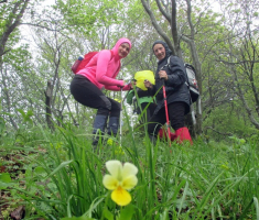 20160424_papuk_011