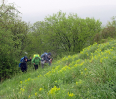20160424_papuk_023