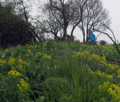 20160424_papuk_024