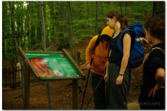 24.07.2011. Papuk