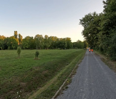 20260724_parkrunners_nasice_018