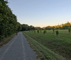20260724_parkrunners_nasice_019