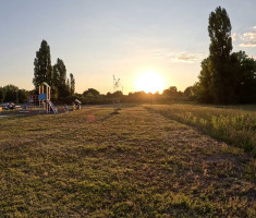 20260724_parkrunners_nasice_020
