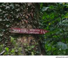 Do Jankovca 1,30...