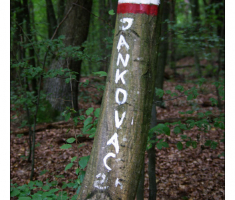 Do Jankovca 2h..