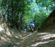 20240824_robin_koprivnica_trail_19km_042