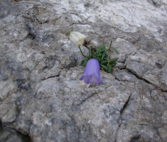 20160924_triglav_drazen_smit_023