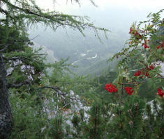 20160924_triglav_drazen_smit_025