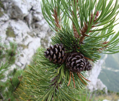 20160924_triglav_drazen_smit_037