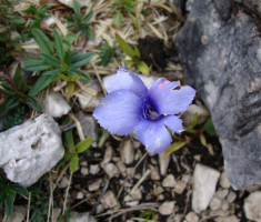 20160924_triglav_drazen_smit_043