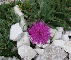 20160924_triglav_drazen_smit_045