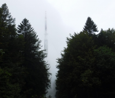 20170924_psunj_049