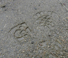 20170924_psunj_073