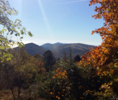 img-20151025-wa0018