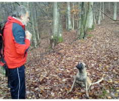 papuk_20131124003
