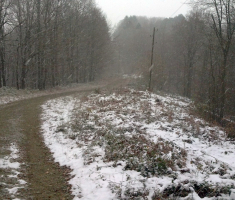 20151124_krndija_velimir_rupcic_004