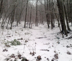20151124_krndija_velimir_rupcic_005
