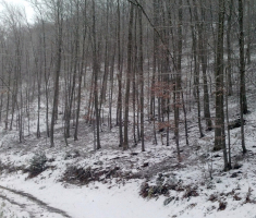 20151124_krndija_velimir_rupcic_006