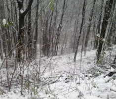 20151124_krndija_velimir_rupcic_007